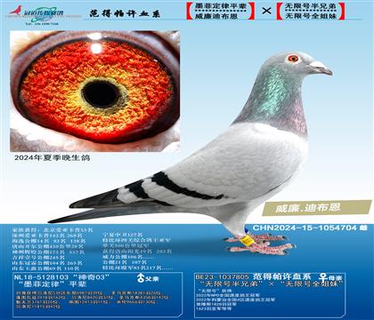 無限號近親×墨菲定律