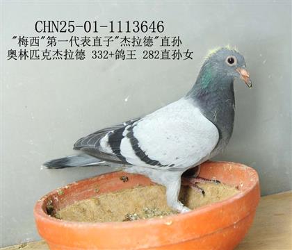 ”梅西”第一代表直子”杰拉德”直孫-16