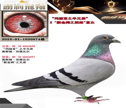 ֵ֮ܡX½ķ֮áֱŮ