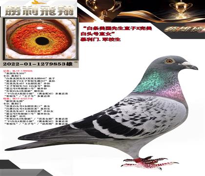 慕利門.軍校生 “白條美國先生直子X完美自頭號直女”