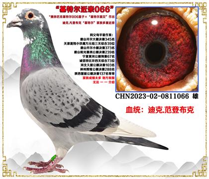 (c(din)]ǲˡWƥ˻ؠ006ֱӡؠֱŮ