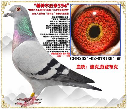 (c(din)]ǲˡؠ006ֱӡؠֱOŮѪ