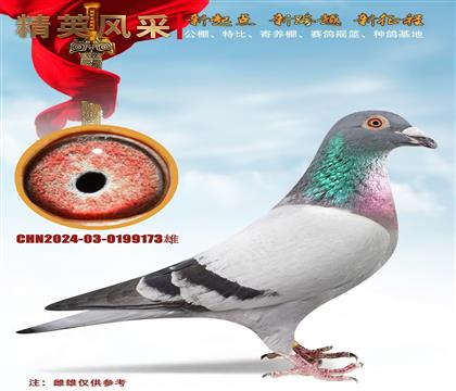 δ(li)c(din)]