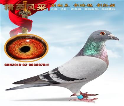 츣̖(ho)