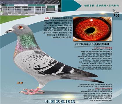 ղɭ̖ڰ415رȭh(hun)5xĸ222