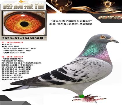 金環(huán):”歐元號直子X琳莎全姐妹767“