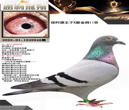 金環(huán):保時捷王子X新金姆II世