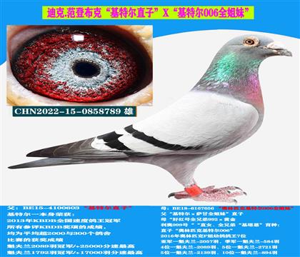 范登布克“基特爾”直子X(jué)“基特爾006