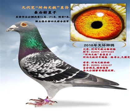 Ṧ׷NˡoHֱO