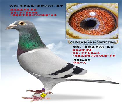 Ͽ.ǲˡؠ006ֱX006ֱŮ