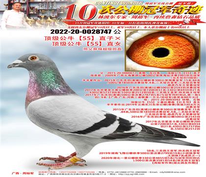 피(j)55ֱӡ피(j)55ֱŮ