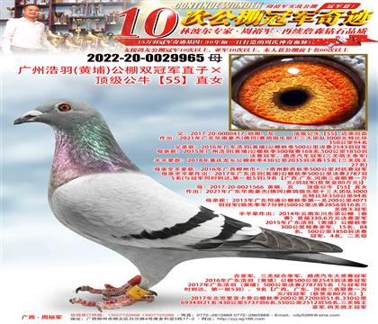 VݺSңp܊ֱӡ피(j)55ֱŮ