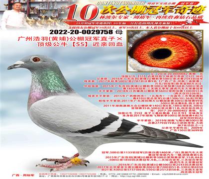 VݺSң܊ֱӡ피(j)55HѪ