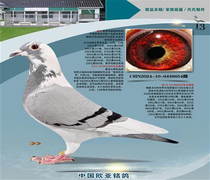 ɣʿxX831ֱŮ591x892S䌦