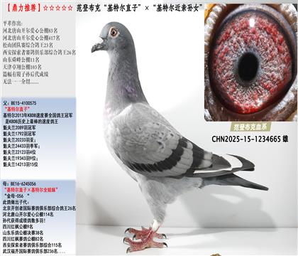 ǲˡؠֱӡؠHOŮ