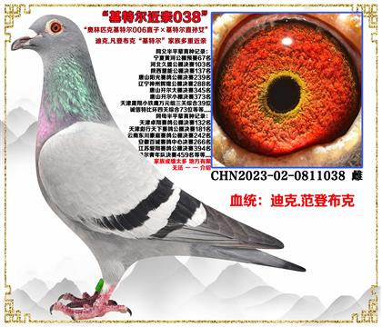 (c]ǲˡؠ006ֱӡؠֱOŮѪ