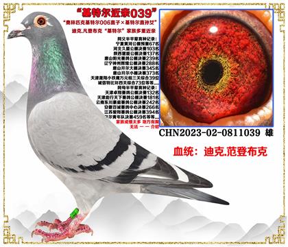 (c]ǲˡؠ006ֱӡؠֱOŮѪ