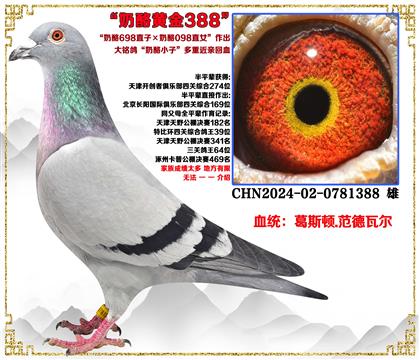 (c]698ֱӡ098ֱŮСӽH