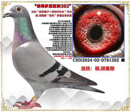 .˹ֱӡOŮ