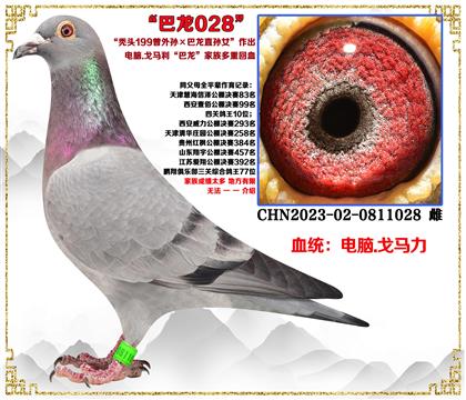 X.Rd^199H150ֱOŮ