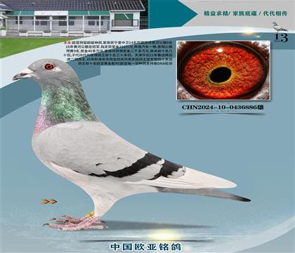 ɣʿǹ̖H591xX831ֱŮ892