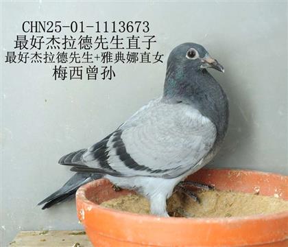 最好杰拉德先生直子-9