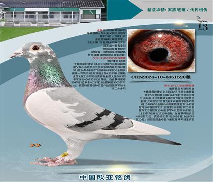 r911Ѫy(tng)555xĸ889