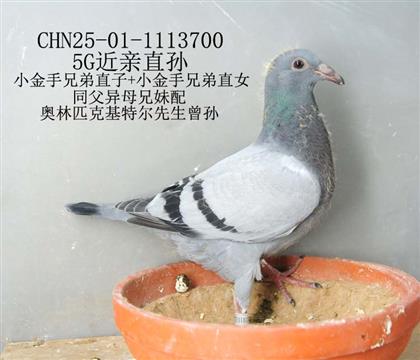 5G近親直孫-15