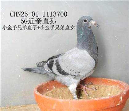 5G近親直孫-15