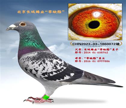 L(zhng)I(y)ȱݡֱO