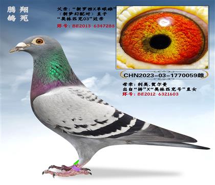 c(din)]W(mng)䌦(du)XֱŮ(g)w߼(j)N