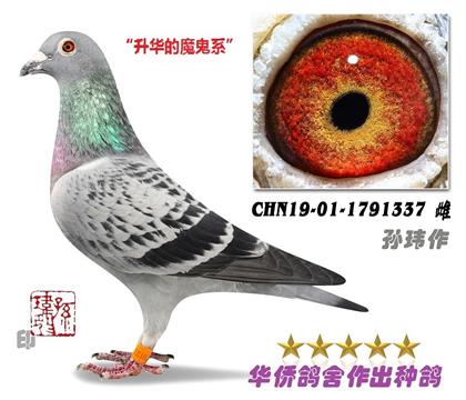 2̖--Aϵ1791337-c(din)-S-