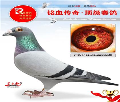 007ֱӡH游