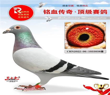 ղ˹802ֱO(zhn)