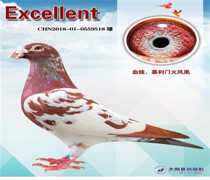 慕利門(mén)火鳳凰
