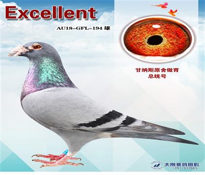 甘納斯原舍總統(tǒng)號(hào)