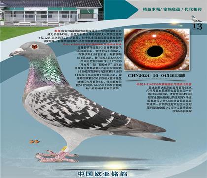 wԭả136xĪ358