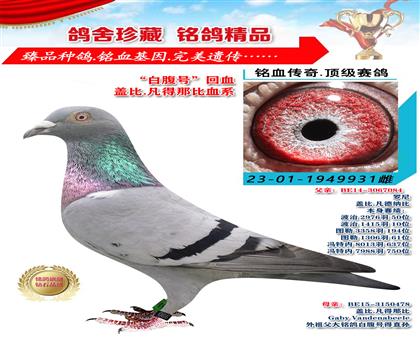 w.ǱѪϵ׸̖(ho)Ѫ