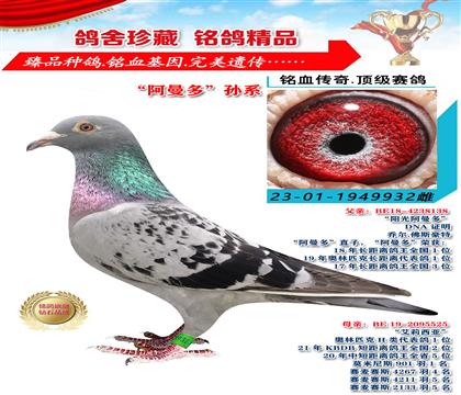̠,˹أࡱOϵ