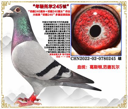 ˹Dߠ240ֱO240ֱŮѪ