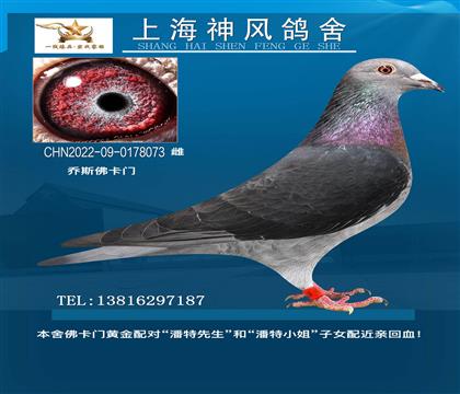 ϺL(fng)TS䌦(du)H
