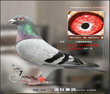 ِһ䌦(du)f桱ֱ