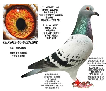 һ@ʯN?sh)Xһĸ220