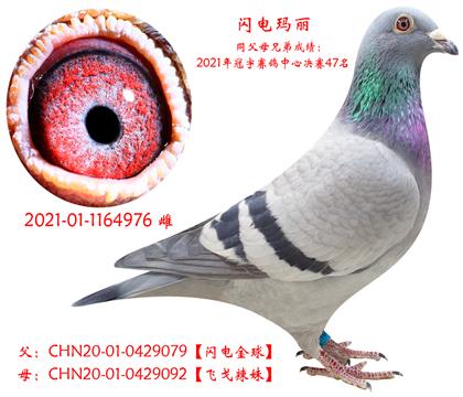 W늬-P28ĸH