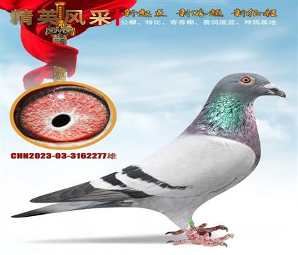 ҽHǰʮ