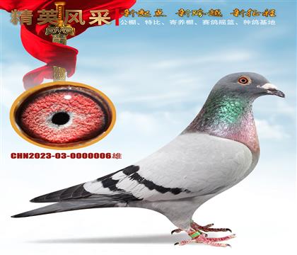 ҼN006