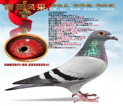 ĸ333333