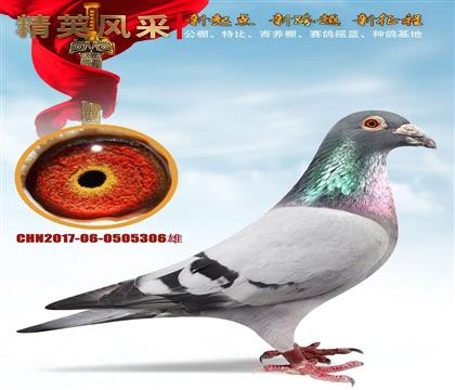 P(gun)C182 Qِ13