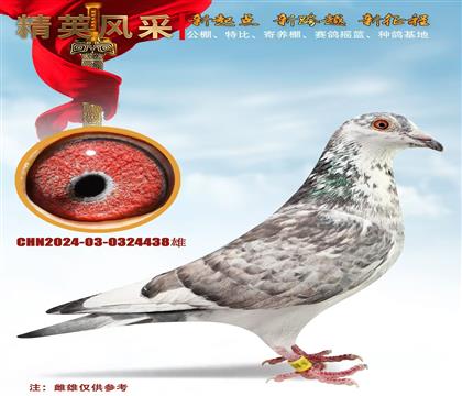 ƴõ塢ǧf