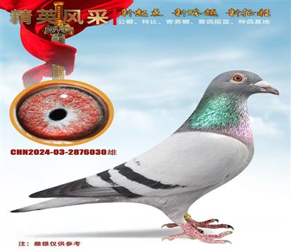 һѪN